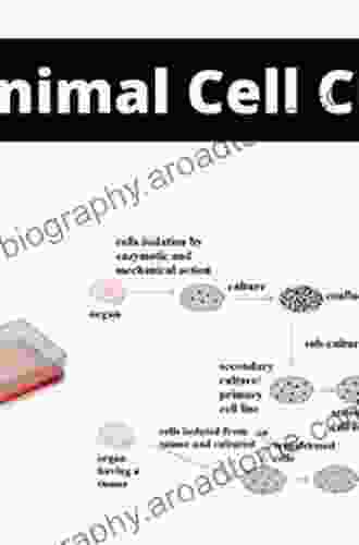 Culture Of Animal Cells: A Manual Of Basic Technique And Specialized Applications