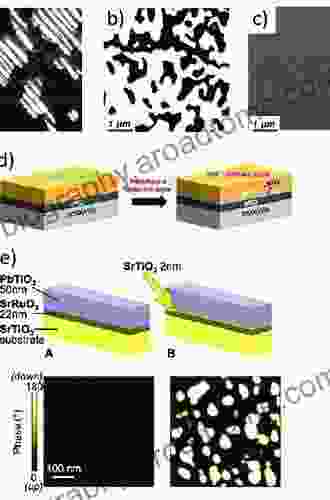 Domains in Ferroic Crystals and Thin Films