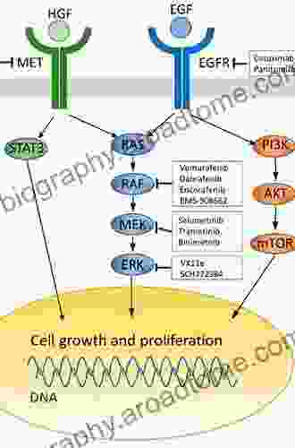 EGFR Signaling Networks In Cancer Therapy (Cancer Drug Discovery And Development)