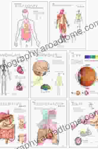 General Anatomy E