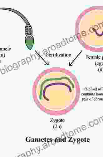 Gamete and Embryo Selection: Genomics Metabolomics and Morphological Assessment (SpringerBriefs in Reproductive Biology)