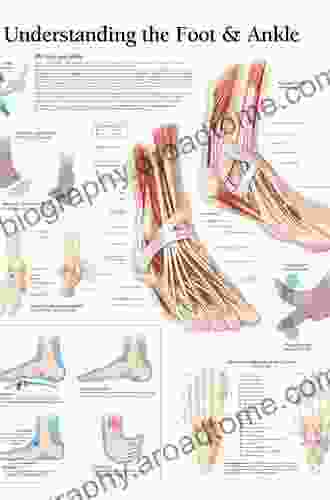 Master Techniques In Orthopaedic Surgery: The Foot And Ankle