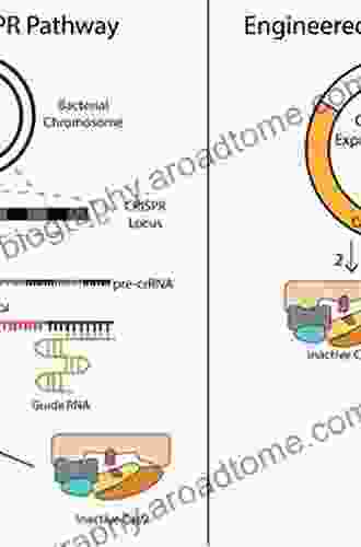 Microbial Production: From Genome Design To Cell Engineering