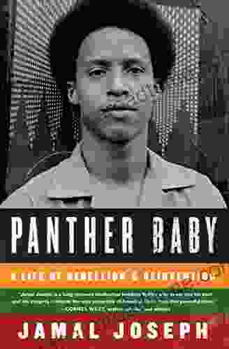 Panther Baby: A Life Of Rebellion Reinvention