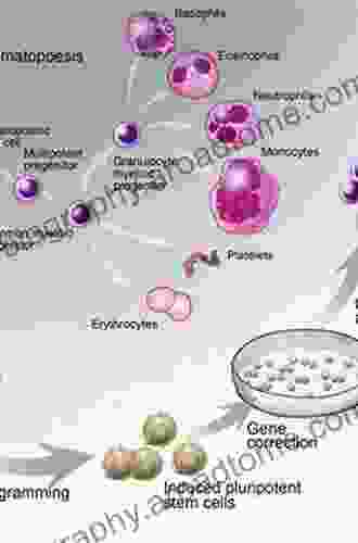 Regenerative Therapy Using Blood Derived Stem Cells (Stem Cell Biology And Regenerative Medicine 0)