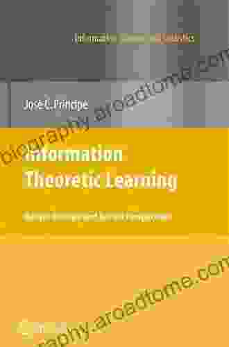 Information Theoretic Learning: Renyi S Entropy And Kernel Perspectives (Information Science And Statistics)