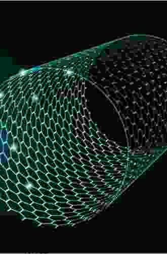 Functionalizing Graphene and Carbon Nanotubes: A Review (SpringerBriefs in Applied Sciences and Technology)