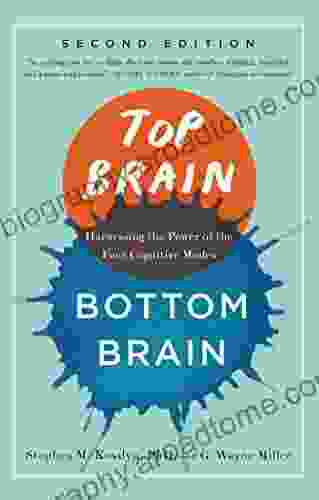 Top Brain Bottom Brain: Surprising Insights Into How You Think