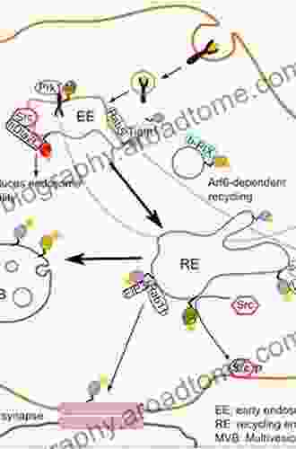 The Rho GTPases In Cancer