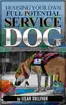 Training Your Own Full Potential Psychiatric Service Dog (Book 2): Training Psychiatric Service Dogs PTSD Anxiety Disorders And Depression (Training Your Own Service Dog)