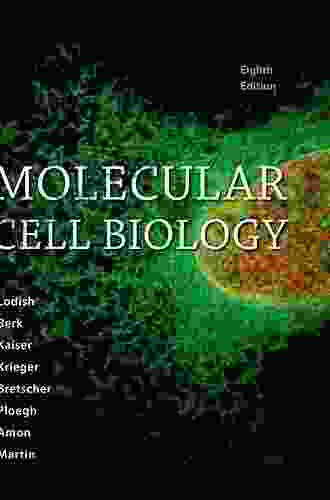 Molecular Biology Of B Cells