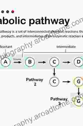 Tumor Cell Metabolism: Pathways Regulation and Biology