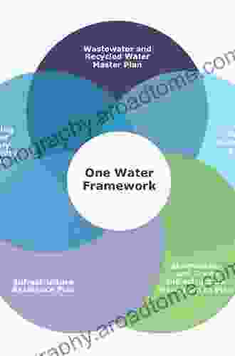 The Irrigation Future Of India: Development Resource And Policy (Global Issues In Water Policy 29)