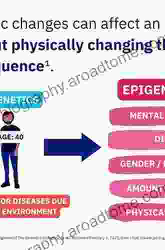 Epigenetics In Human Disease (Translational Epigenetics 6)