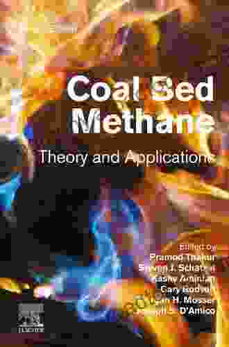 Coal Bed Methane: Theory And Applications